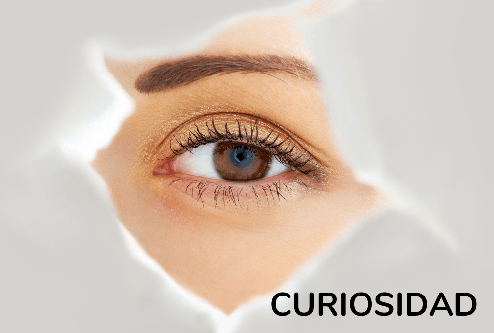 Curiosidad